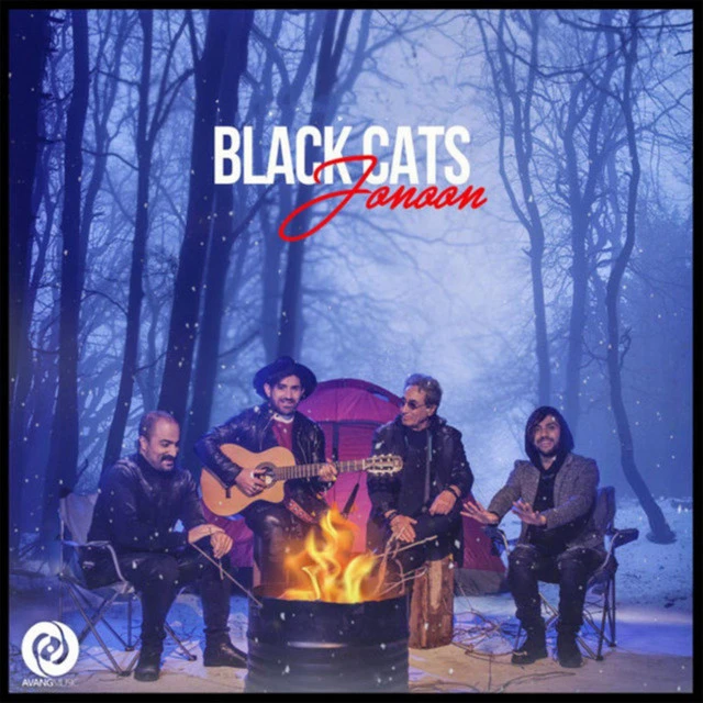 دانلود آهنگ Jonoon از Black Cats