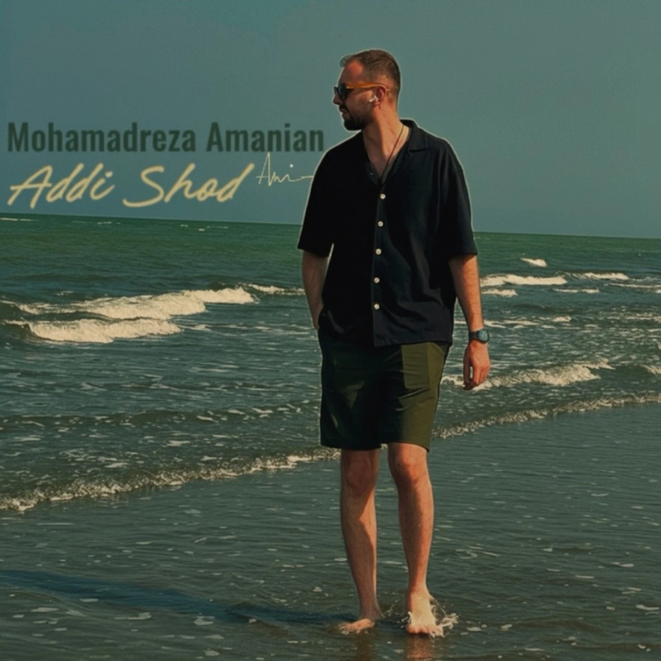 دانلود آهنگ جدید عادی شد از محمدرضا امانیان