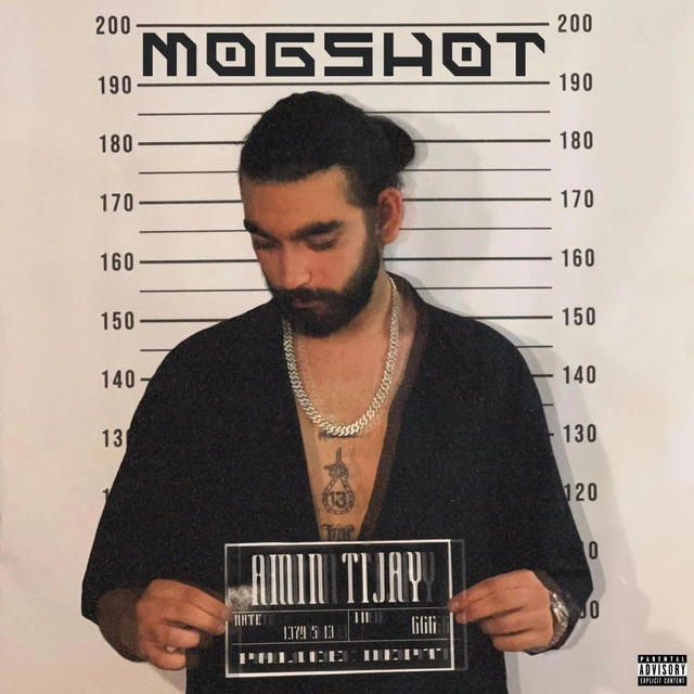 دانلود آهنگ Mugshot از امین تیجی