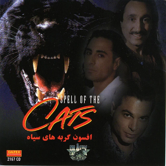 دانلود آهنگ Naaz Yaar از Black Cats