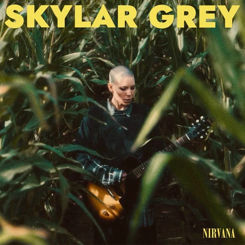 دانلود آهنگ Nirvana از Skylar Grey