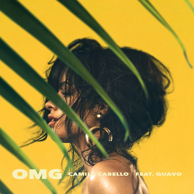 دانلود آهنگ OMG (feat. Quavo) از Quavo
