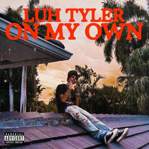 دانلود آهنگ On My Own از Luh Tyler