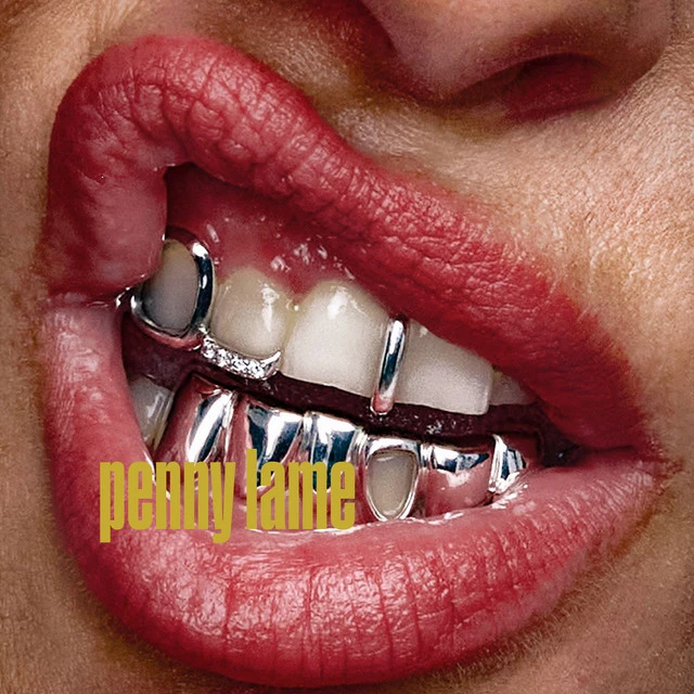 دانلود آهنگ PENNY LAME از Noga Erez