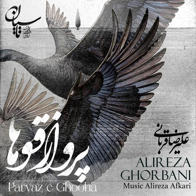 دانلود آهنگ Parvaze Ghooha از علیرضا قربانی