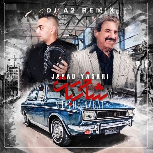 دانلود آهنگ Shakhe Nabat - Dj A2 Remix از جواد یساری
