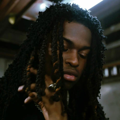دانلود آهنگ Smoke n Drank از Jordan Adetunji