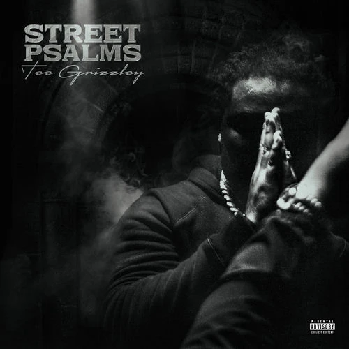 دانلود آلبوم Street Psalms از Tee Grizzley