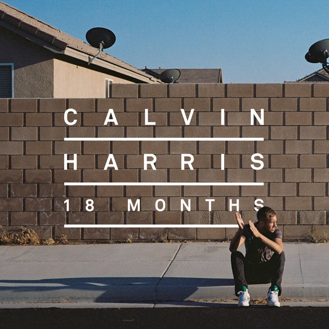 دانلود آهنگ Sweet Nothing (feat. Florence Welch) از Calvin Harris