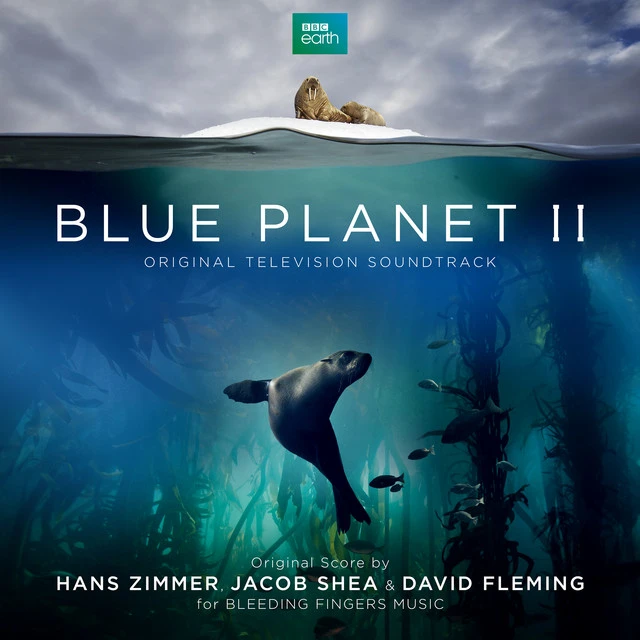 دانلود آهنگ The Blue Planet از Hans Zimmer