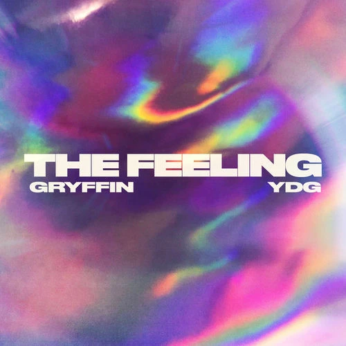 دانلود آهنگ The Feeling از Gryffin