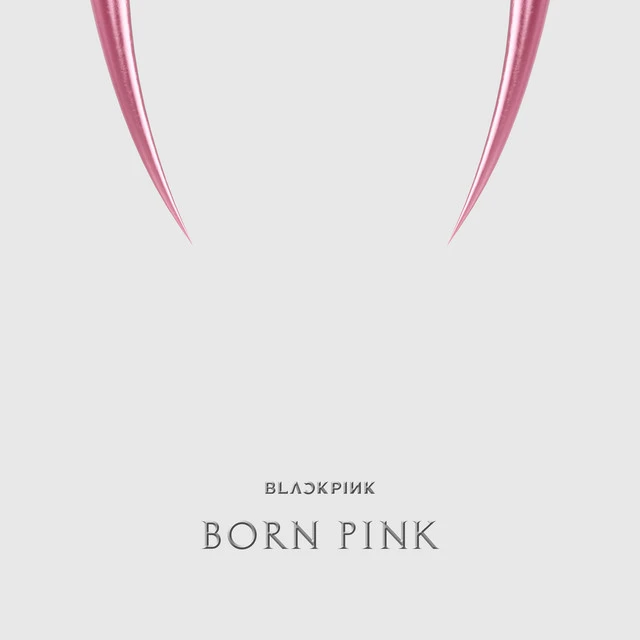 دانلود آهنگ The Happiest Girl از BLACKPINK