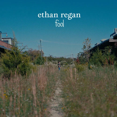دانلود آهنگ fool از Ethan Regan