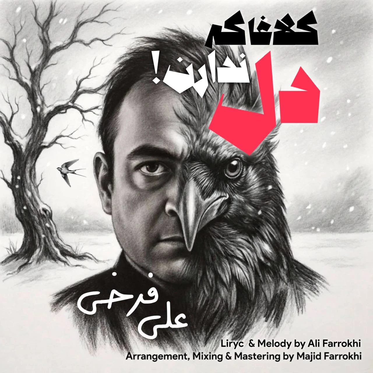 دانلود آهنگ جدید کلاغا که دل ندارن از علی فرخی