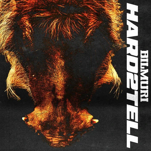 دانلود آهنگ HARD2TELL از Bilmuri
