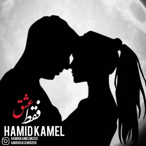 دانلود آهنگ جدید فقط عشق از حمید کامل