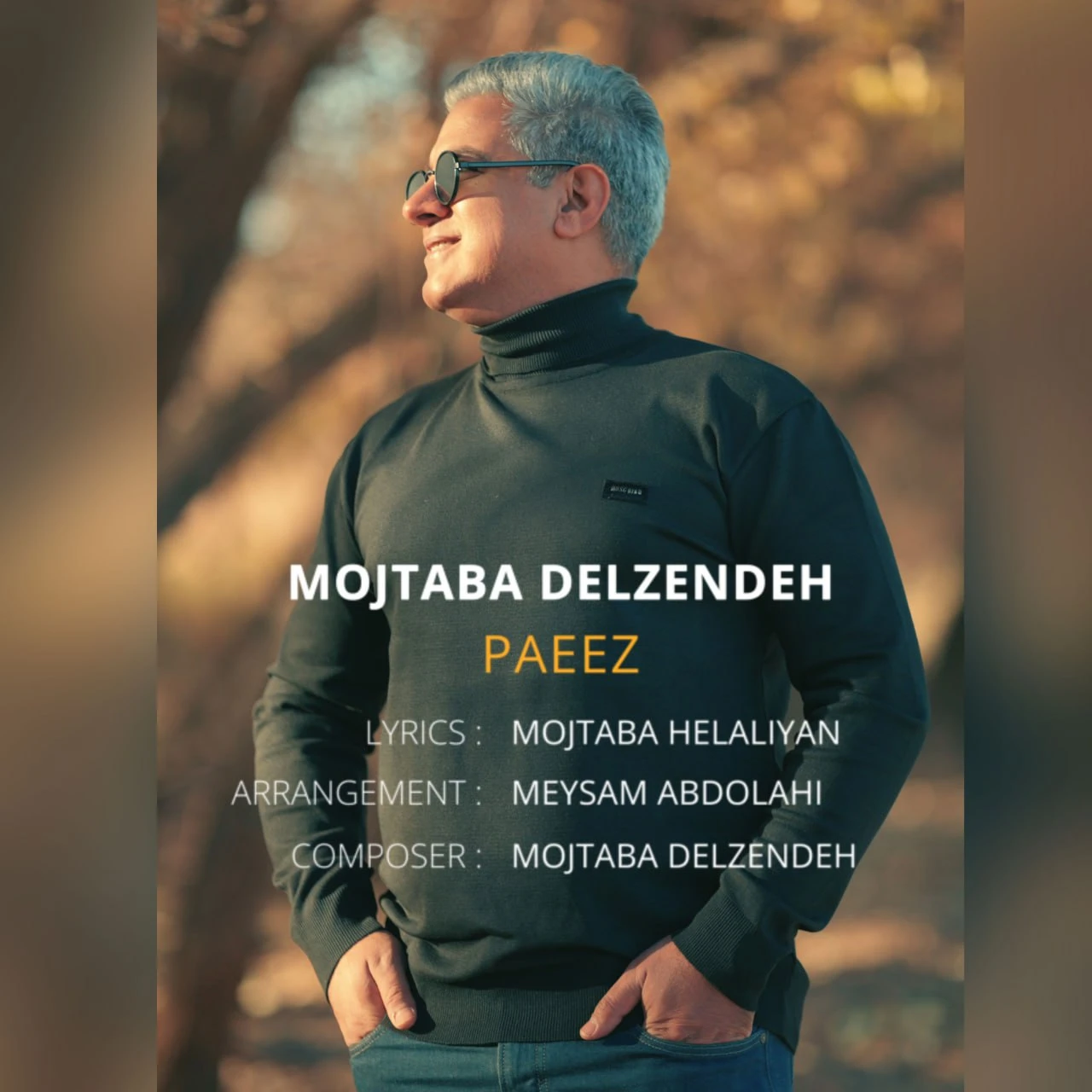 دانلود آهنگ جدید پاییز از مجتبی دل زنده