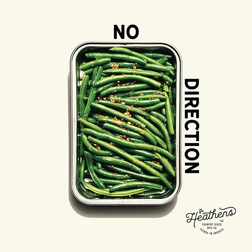 دانلود آهنگ No Direction از The Band Of Heathens