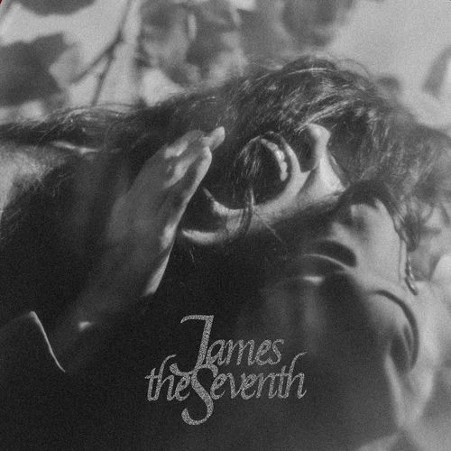 دانلود آهنگ Shame از James the Seventh