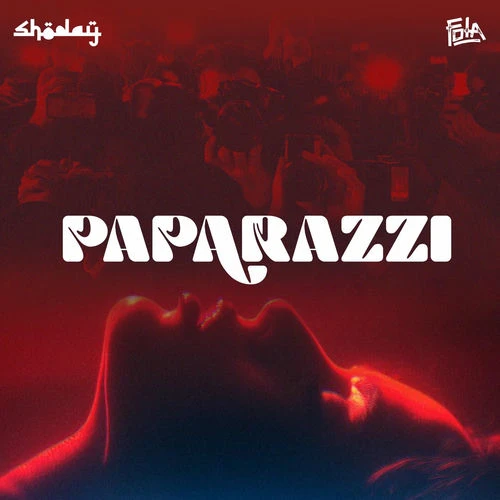 دانلود آهنگ Paparazzi از Shoday