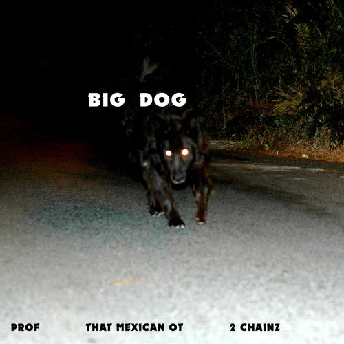 دانلود آهنگ Big Dog از Prof
