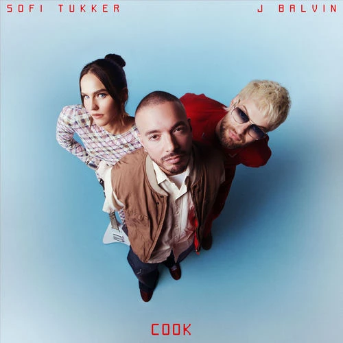 دانلود آهنگ COOK از Sofi Tukker