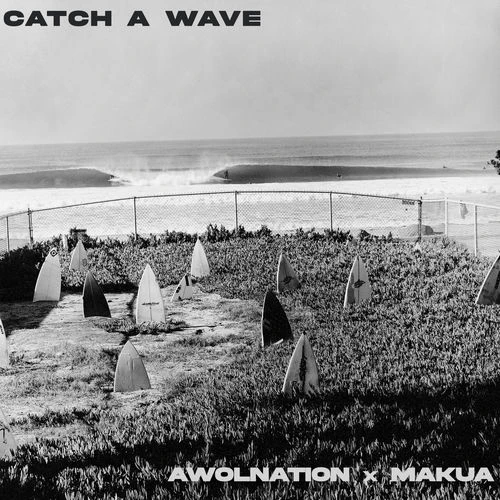 دانلود آهنگ Catch A Wave از AWOLNATION