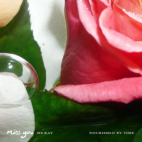 دانلود آهنگ Miss You از Ms Ray