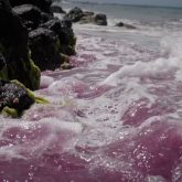 دانلود آهنگ Not So Virgo of You از LUCKI