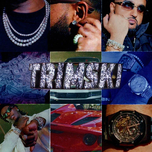 دانلود آهنگ Trimski از NAV