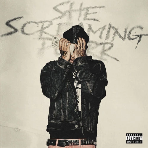 دانلود آهنگ she screaming purr (attachments) از TopOppGen