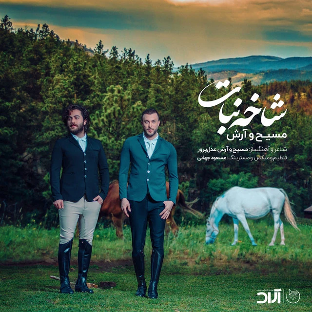 دانلود آهنگ شاخه نبات از آرش AP