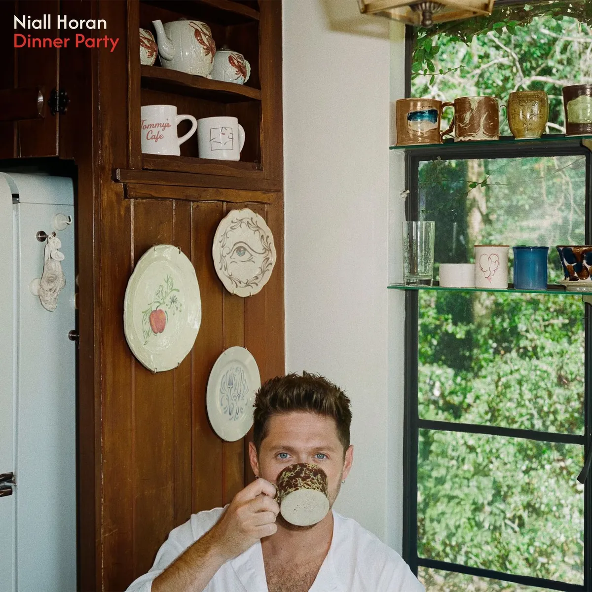 دانلود آهنگ Little More Time از Niall Horan