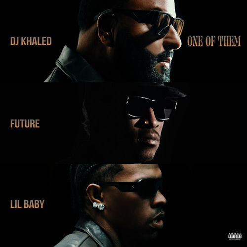 دانلود آهنگ One of Them از DJ Khaled