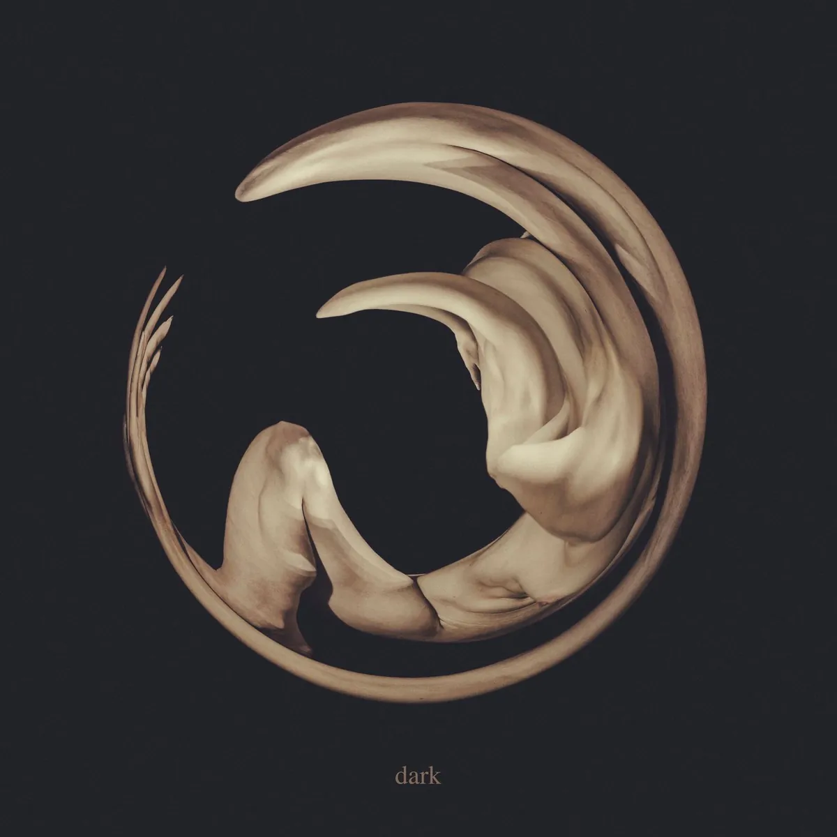 دانلود آهنگ dark از Siamese