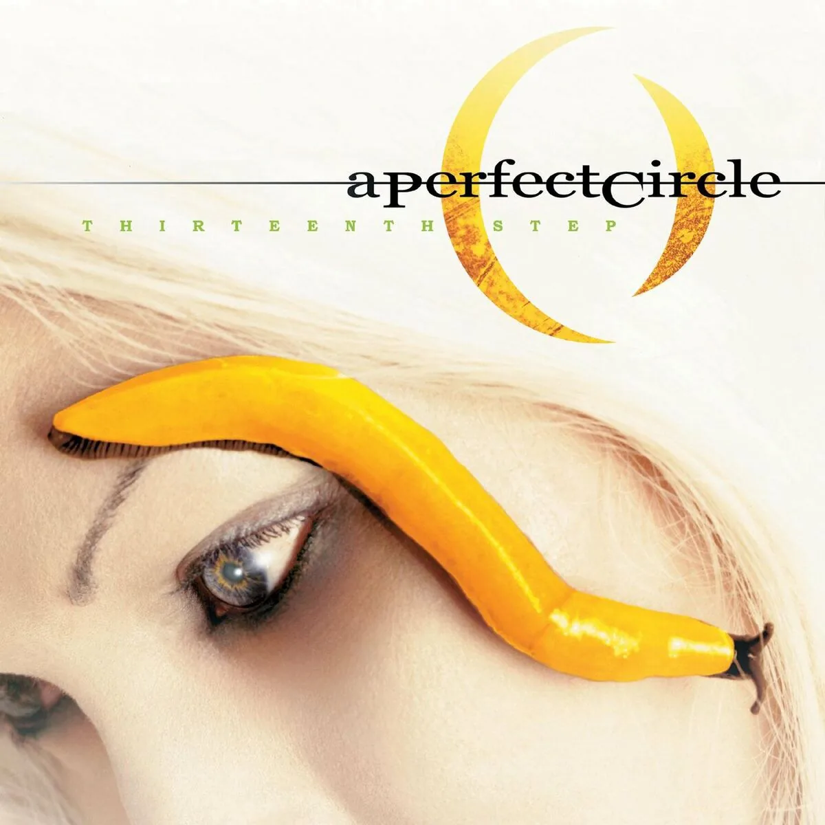 دانلود آهنگ A Stranger از A Perfect Circle