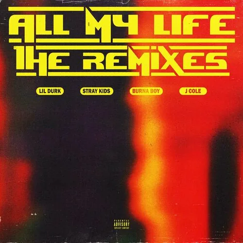 دانلود آهنگ All My Life (Burna Boy Remix) از Burna Boy