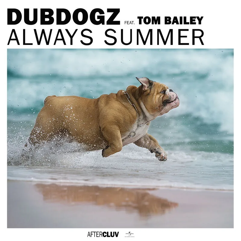 دانلود آهنگ Always Summer از Dubdogz
