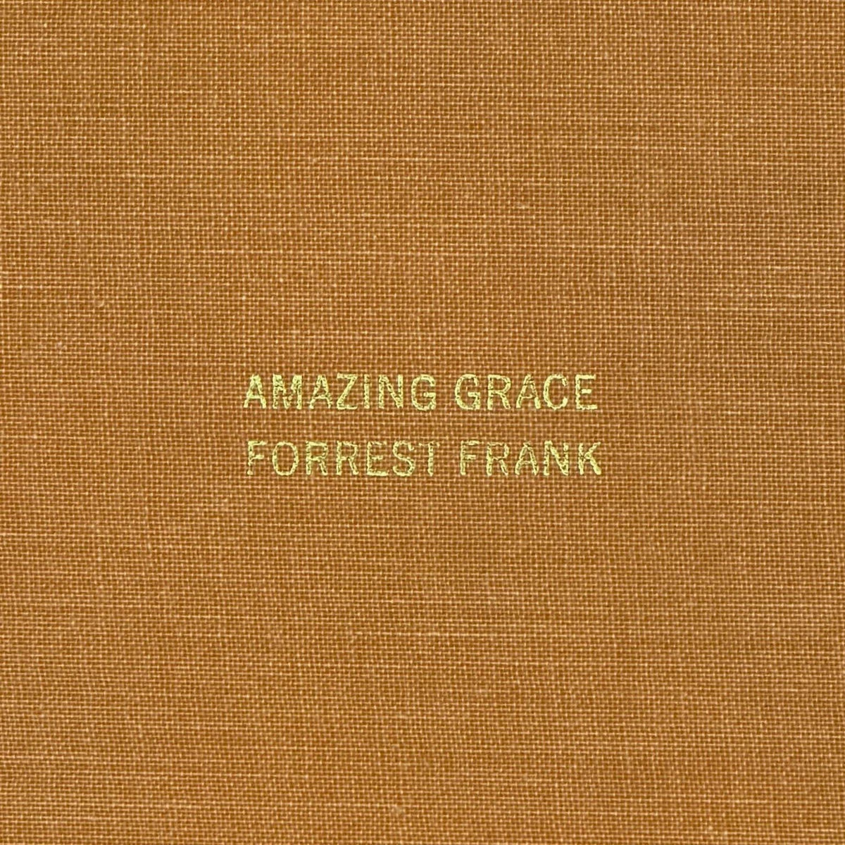 دانلود آهنگ Amazing Grace از Forrest Frank