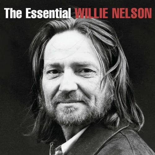 دانلود آهنگ Angel Flying Too Close to the Ground از Willie Nelson