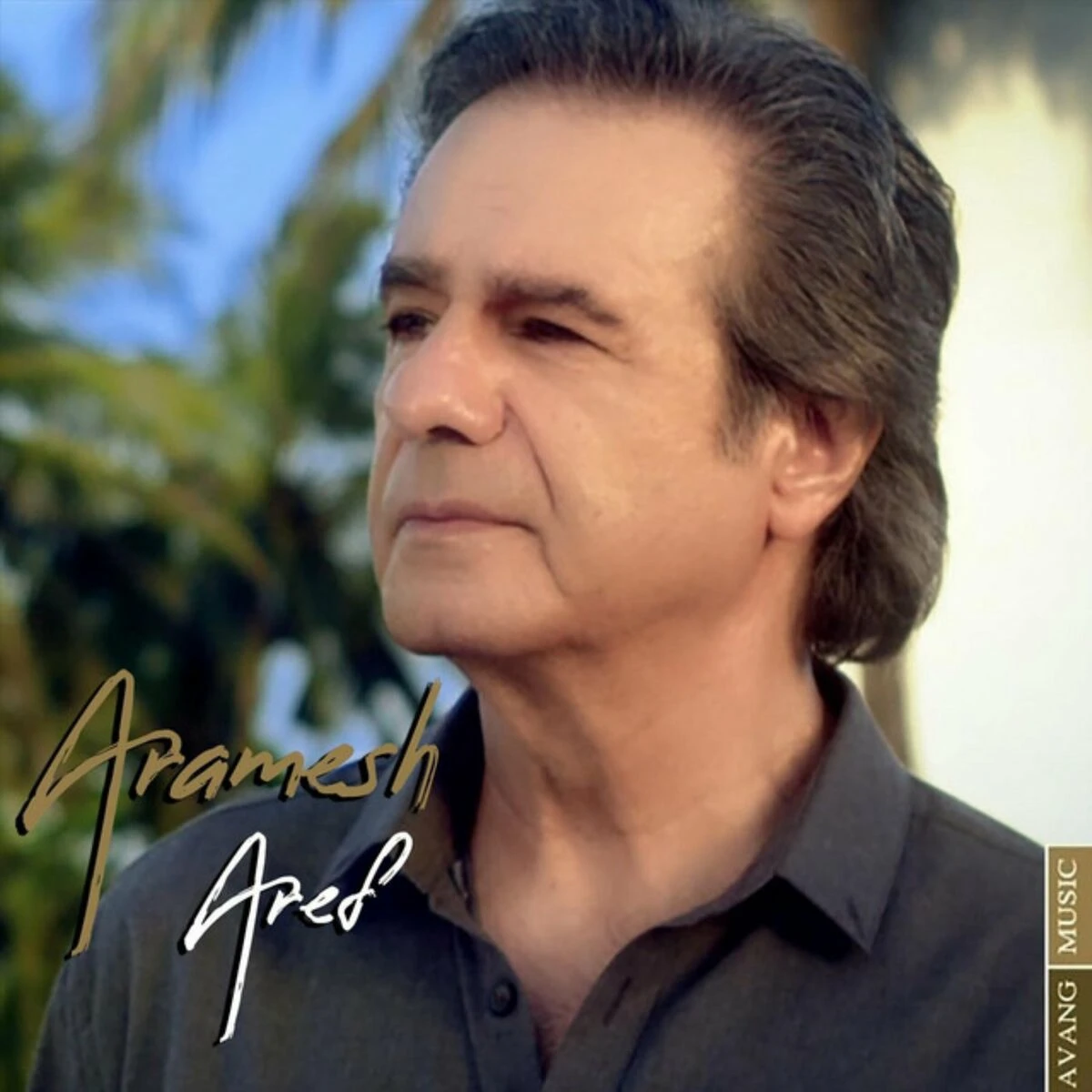 دانلود آهنگ Aramesh از عارف