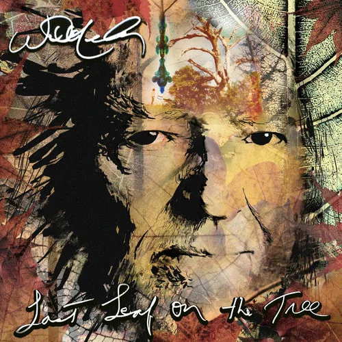 دانلود آهنگ Are You Ready For The Country? از Willie Nelson