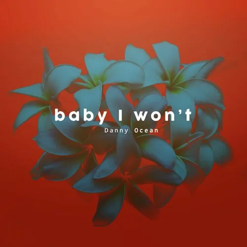 دانلود آهنگ Baby I Won't از Danny Ocean