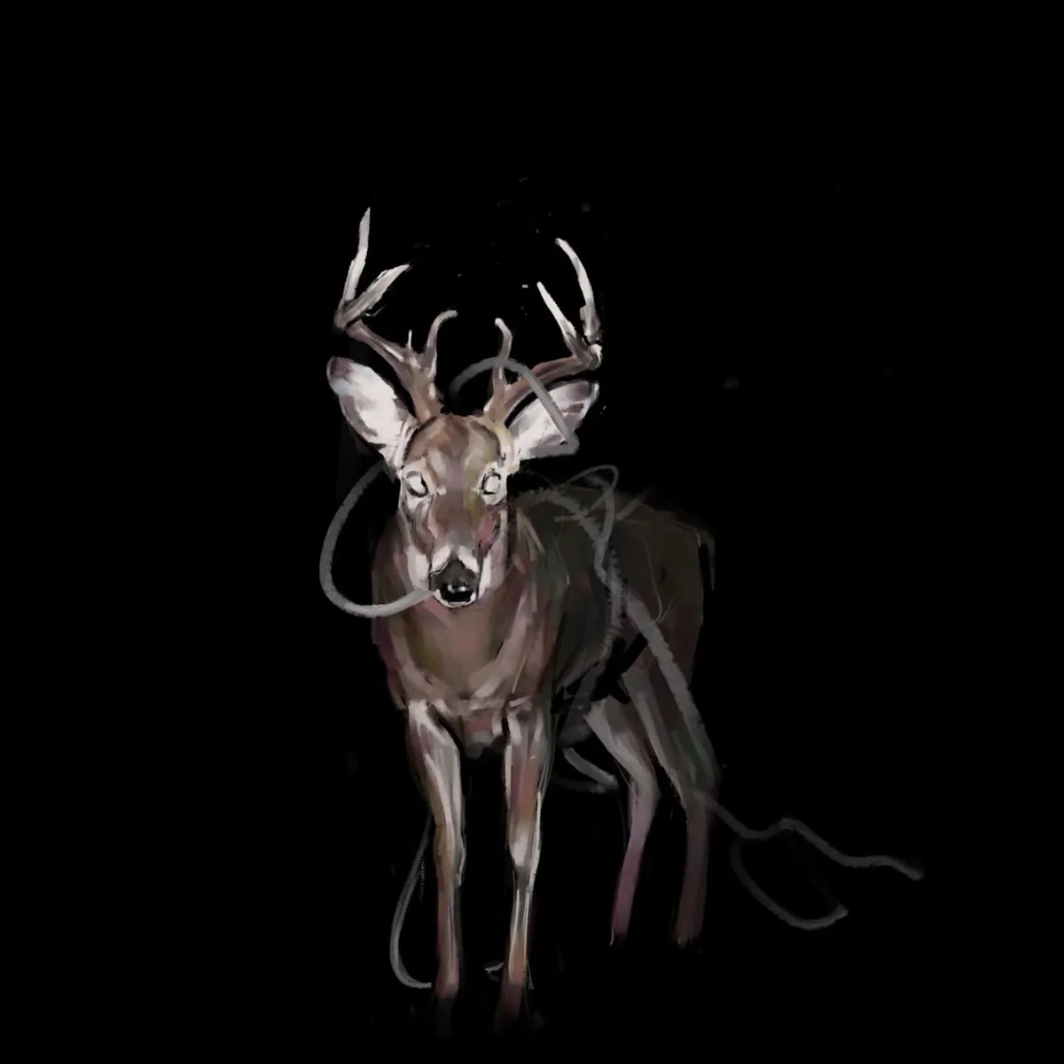 دانلود آهنگ Bambi از Token