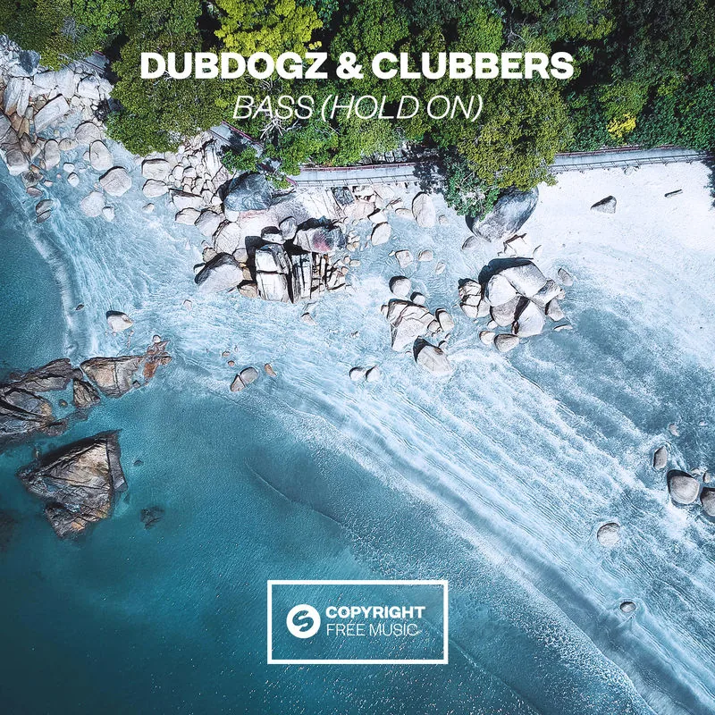 دانلود آهنگ Bass (Hold On) از Dubdogz