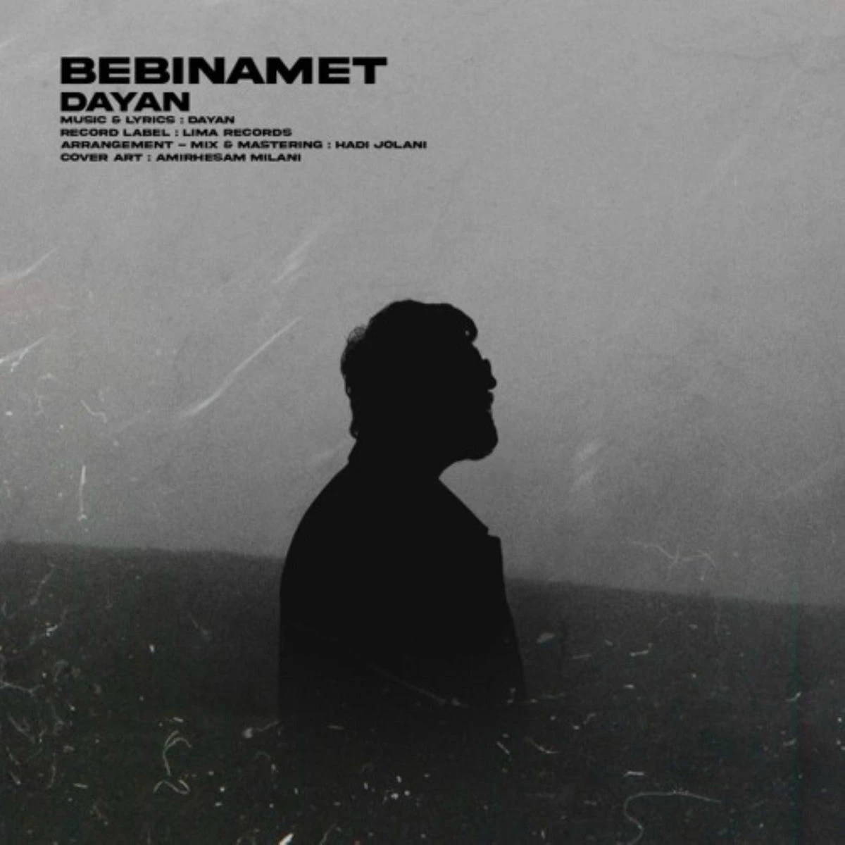 دانلود آهنگ Bebinamet از دایان
