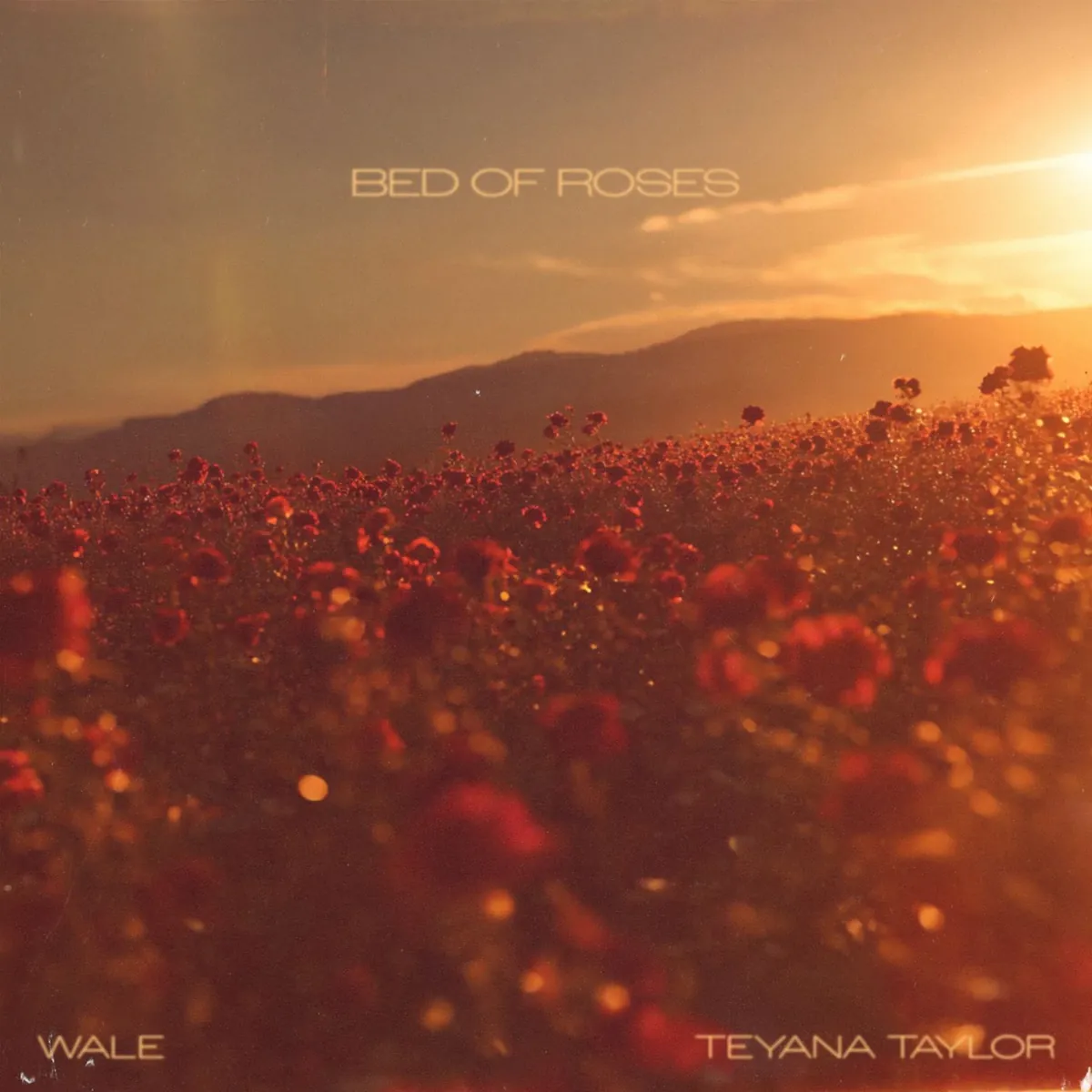دانلود آهنگ Bed of Roses از Teyana Taylor