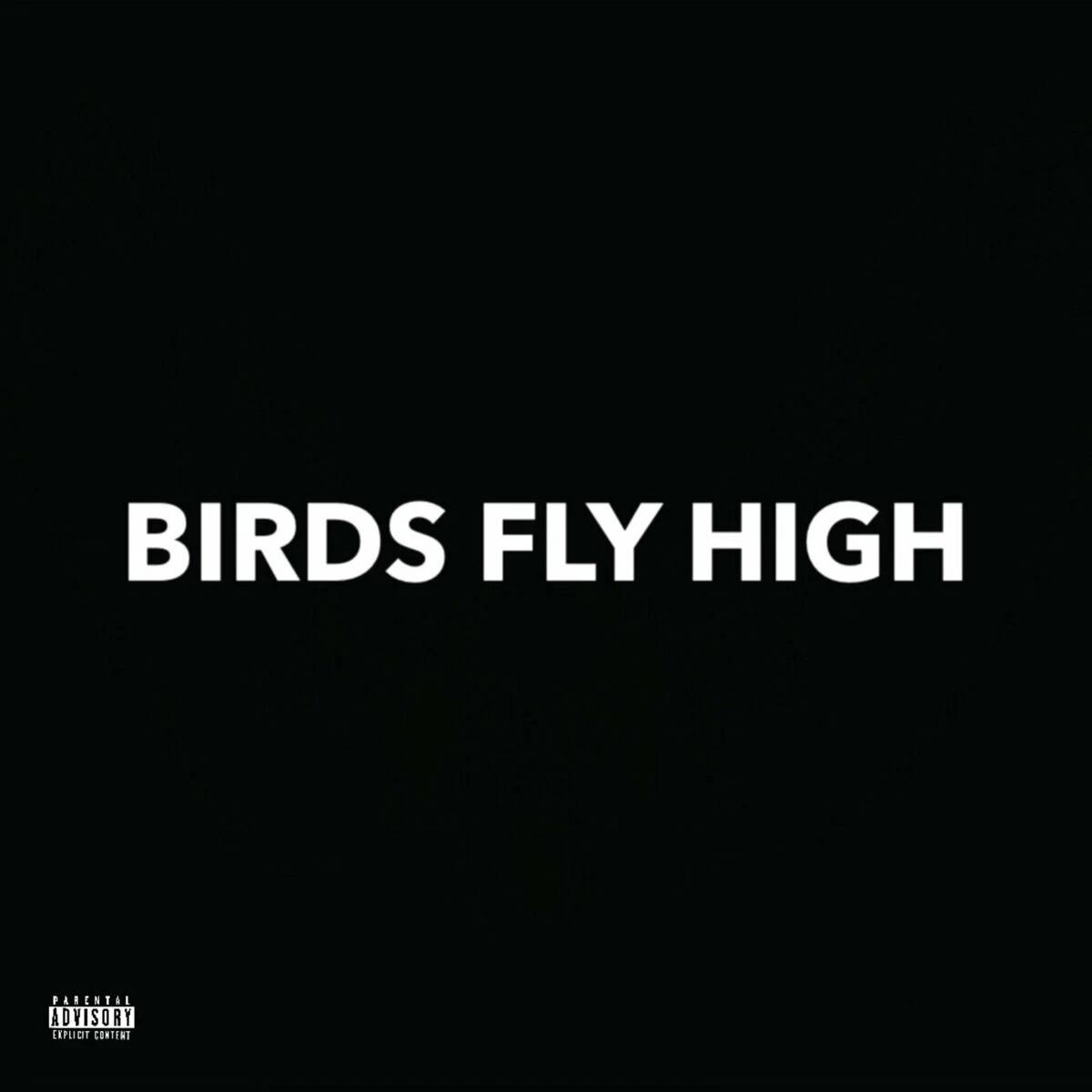 دانلود آهنگ Birds Fly High از LIONAIRE