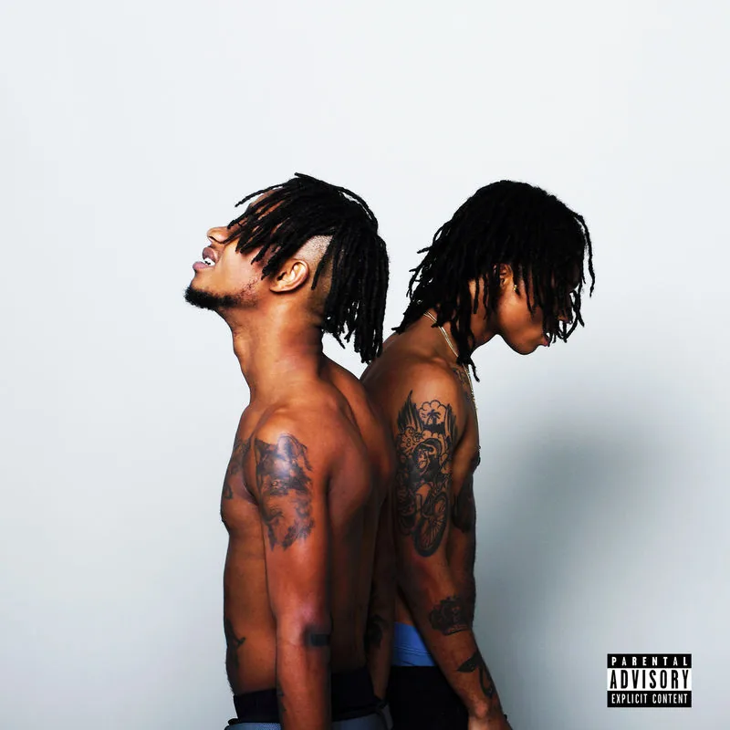 دانلود آهنگ Black Beatles از Rae Sremmurd
