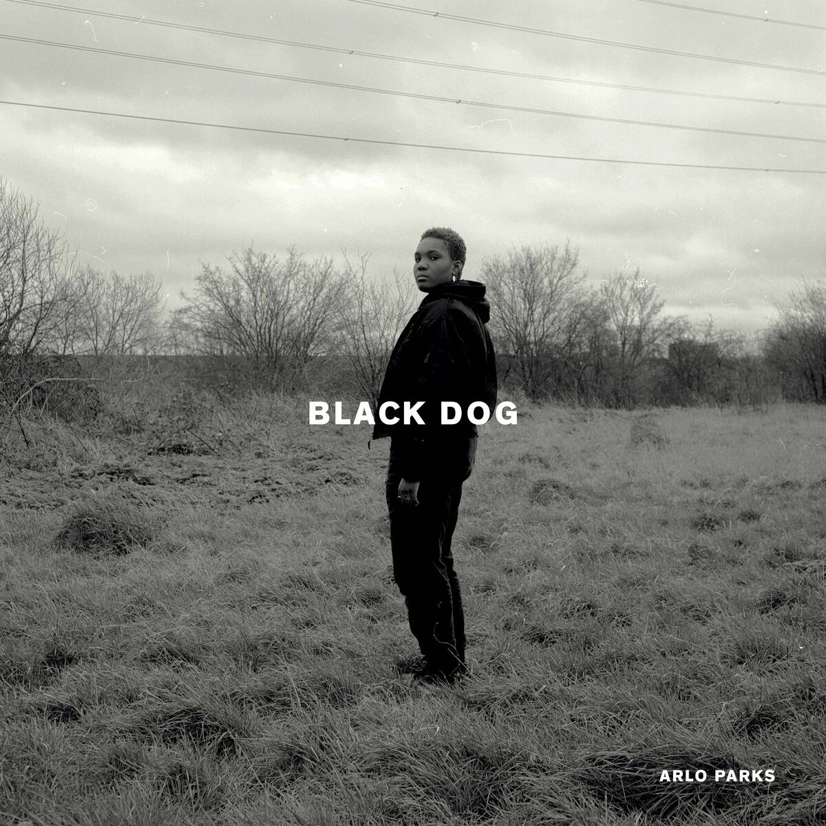 دانلود آهنگ Black Dog از Arlo Parks
